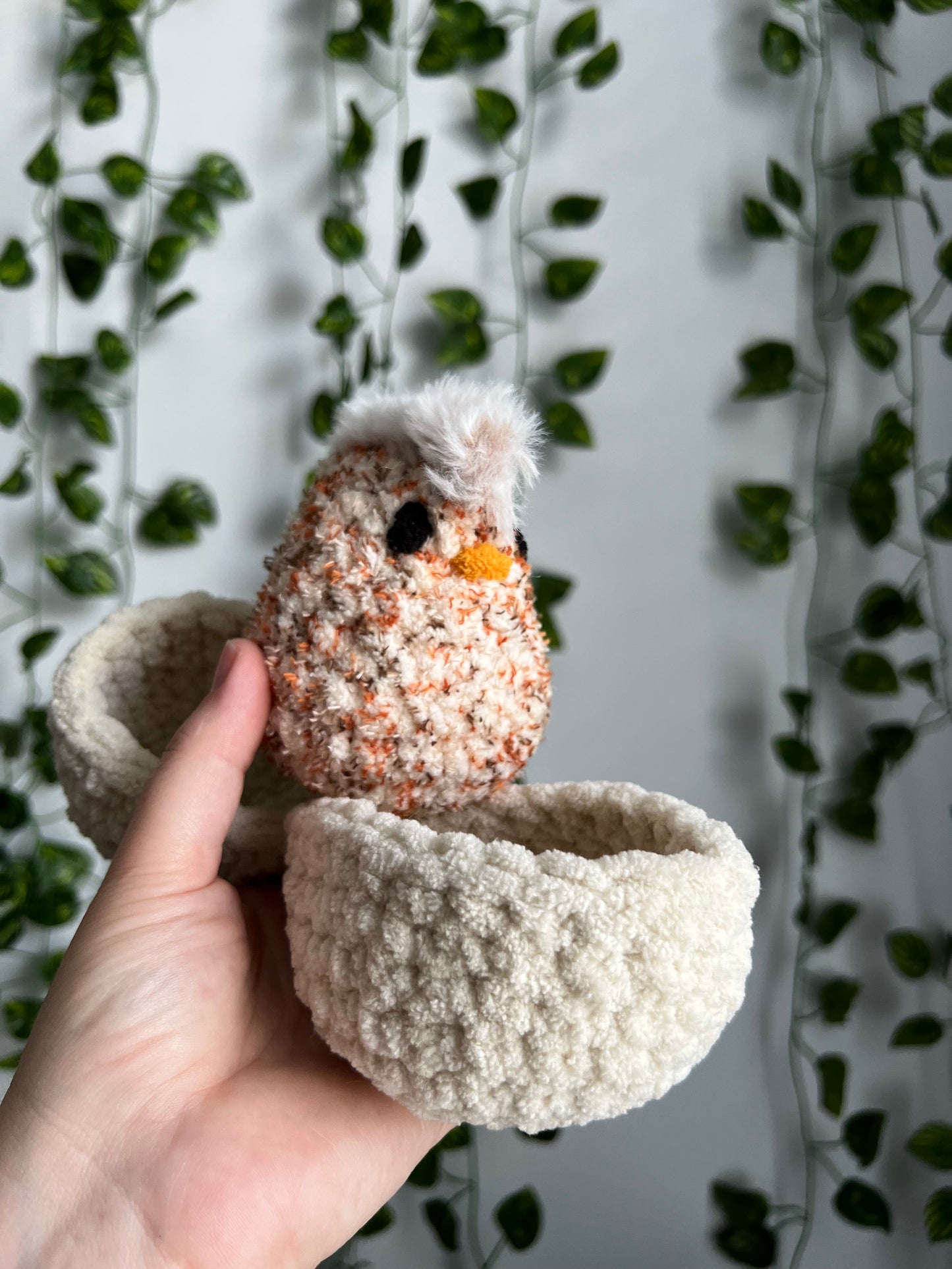 Hatching Chicks