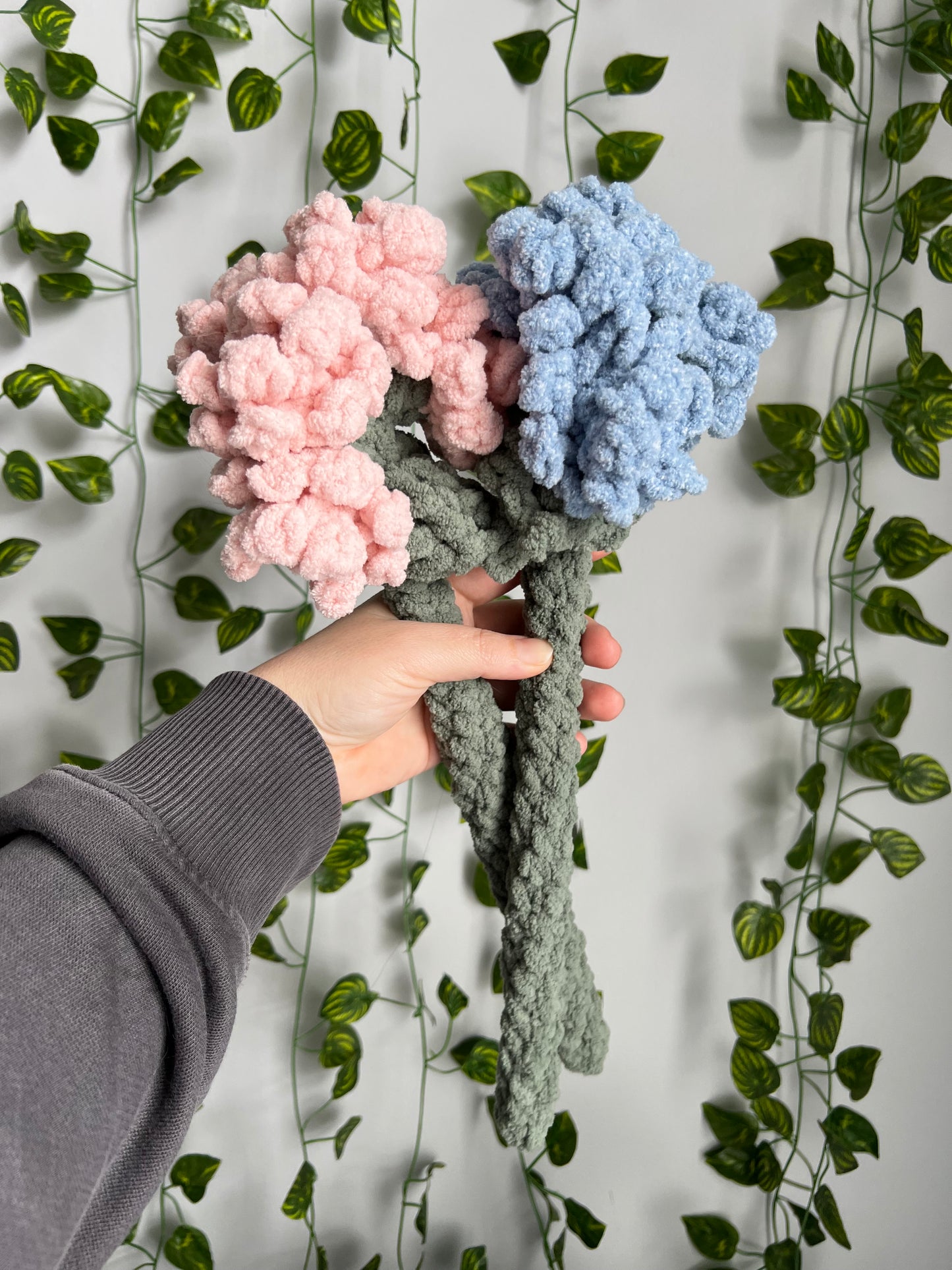 Heirloom Hydrangea