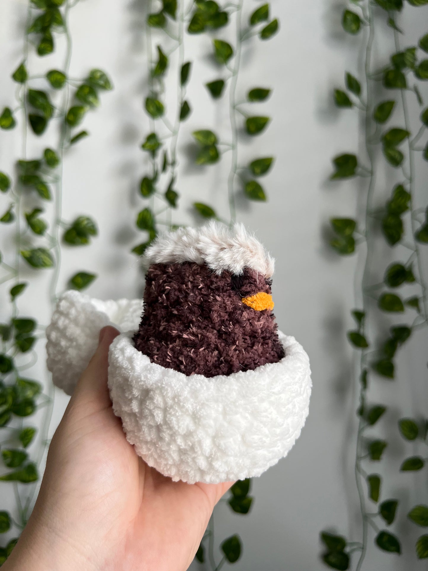 Hatching Chicks