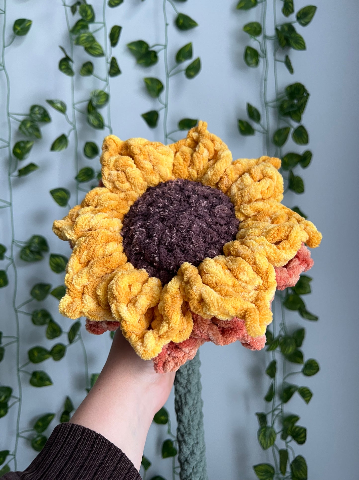 Heirloom Sunflower