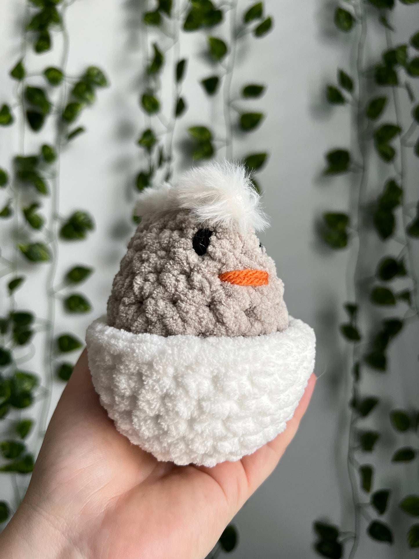 Hatching Chicks