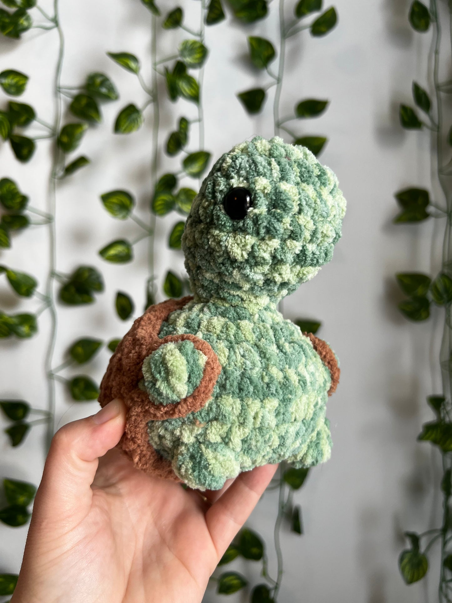 Cheeky Turtle