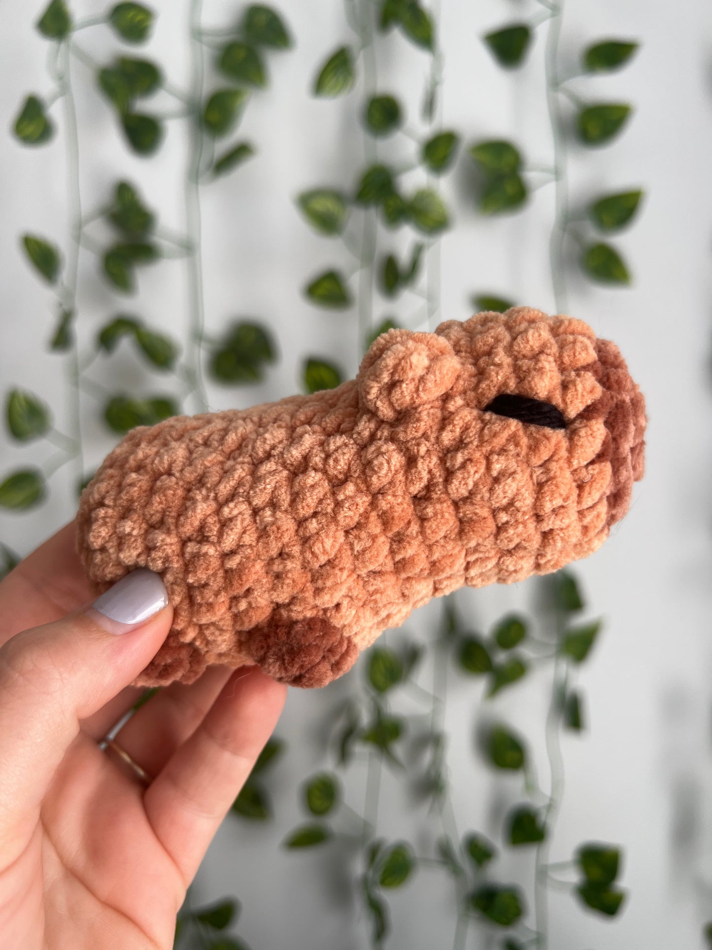 Capybara