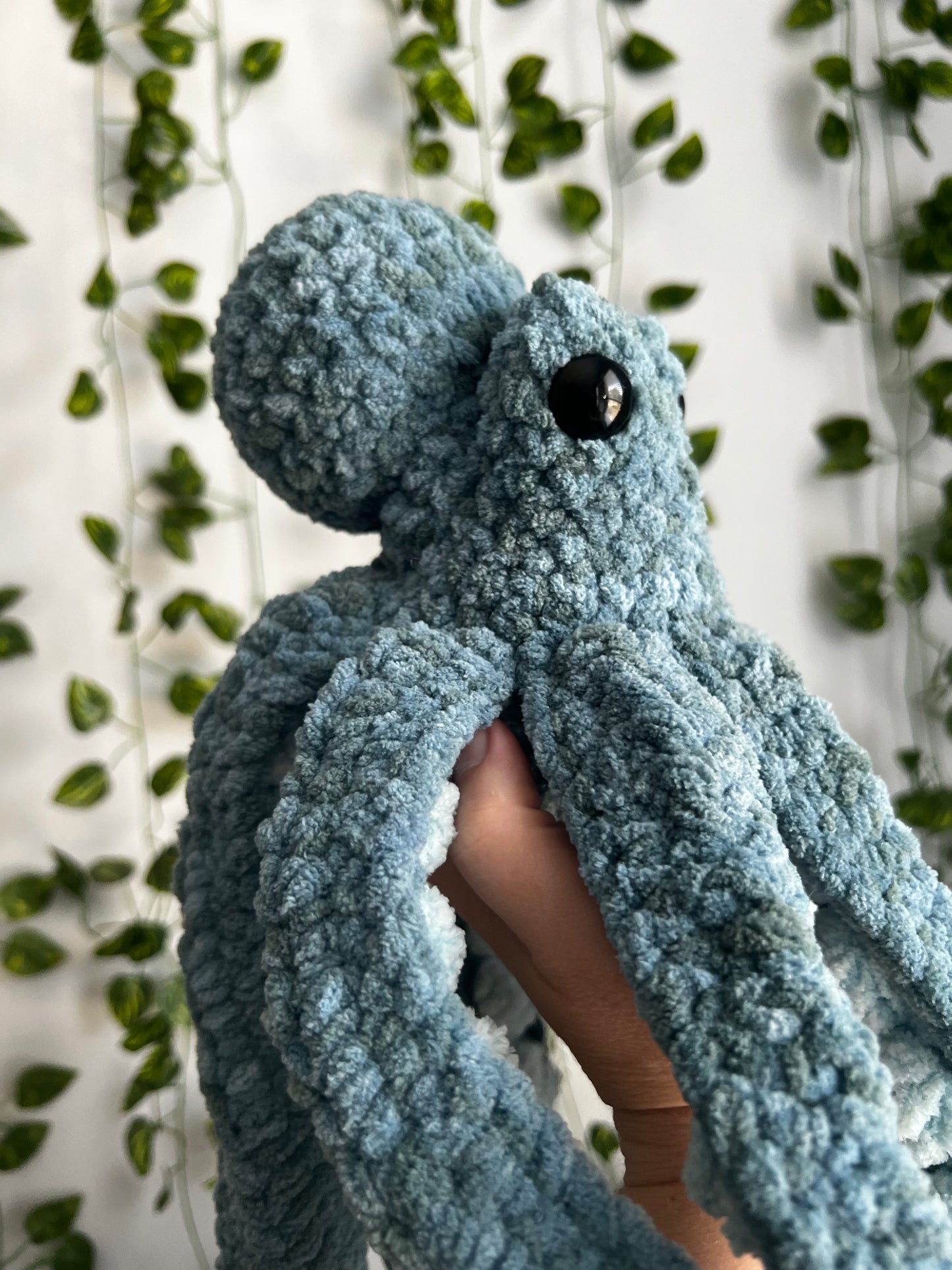 Anchor Octopus