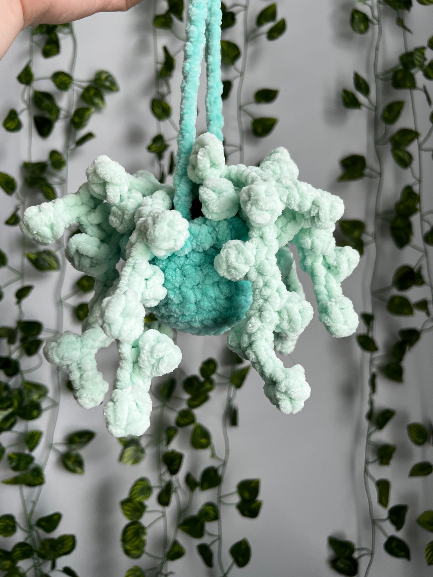 Crochet Hanging Plant