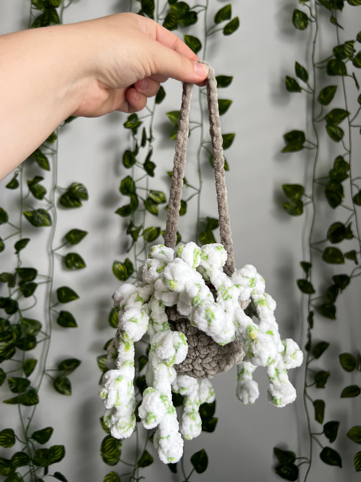 Crochet Hanging Plant