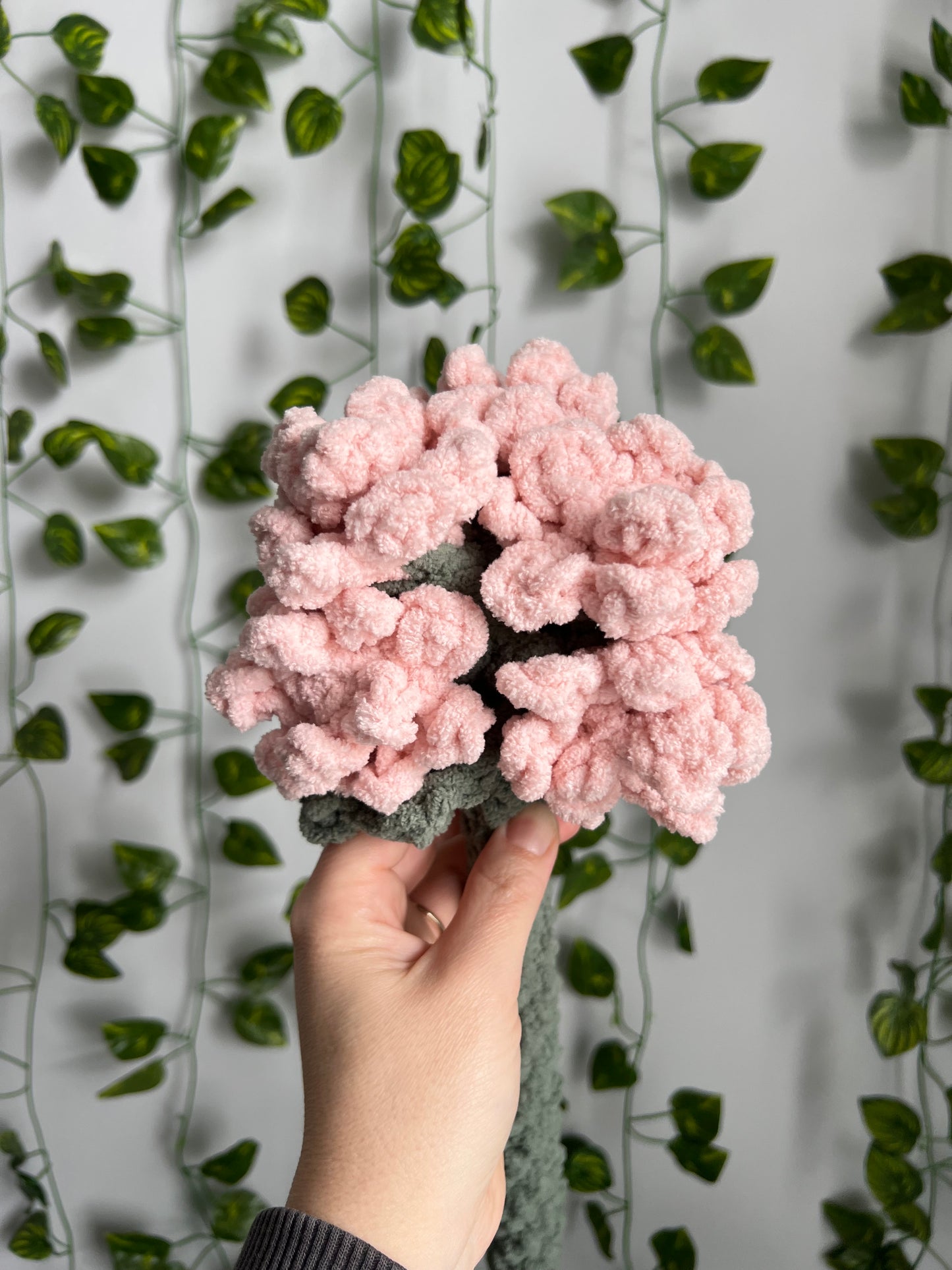 Heirloom Hydrangea