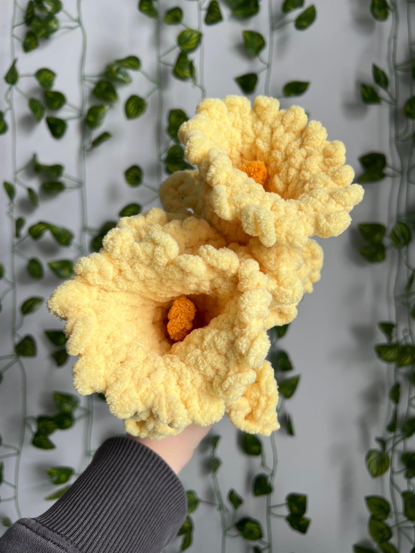 Heirloom Daffodil