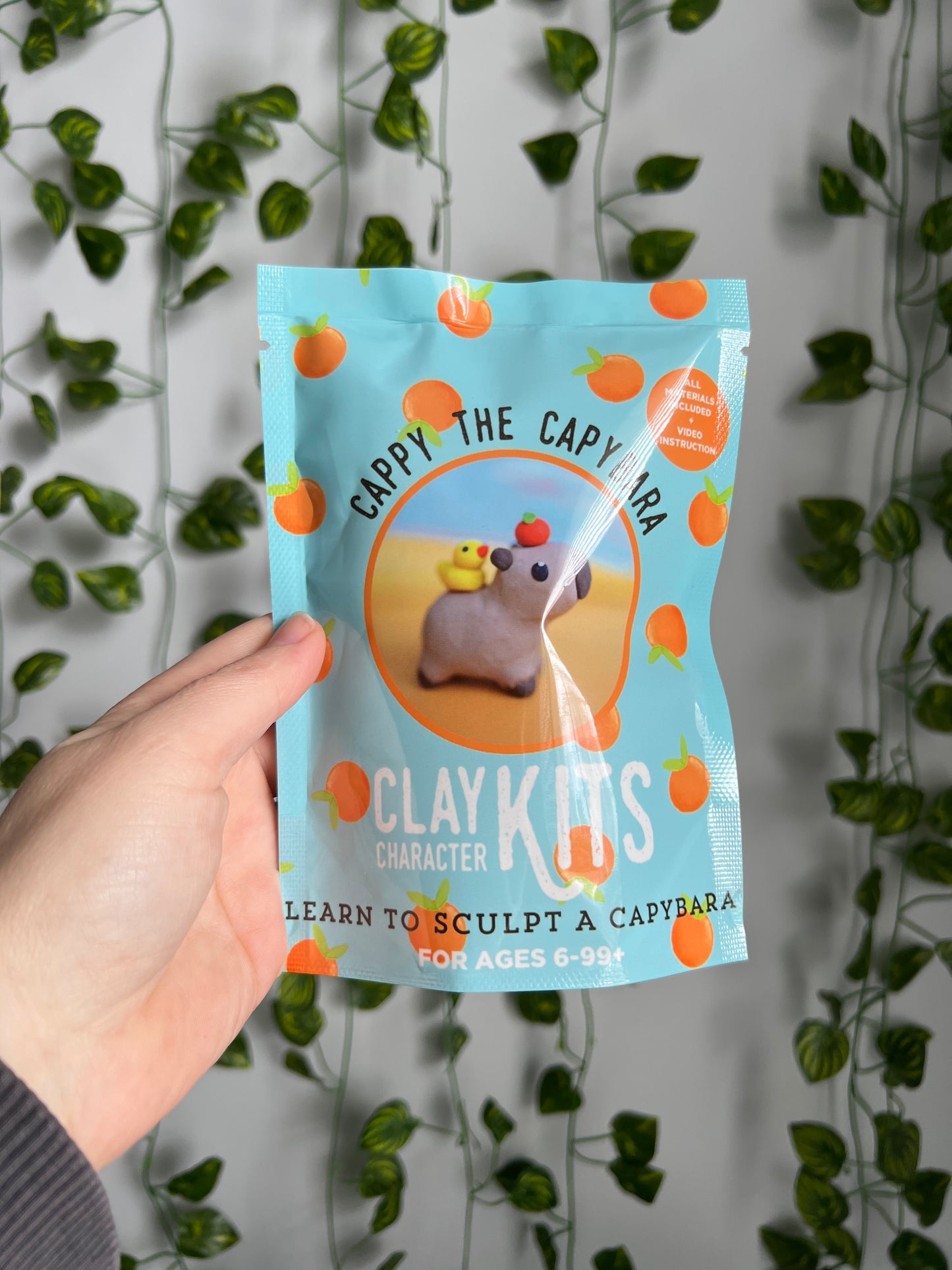 DIY Polymer Clay Kit