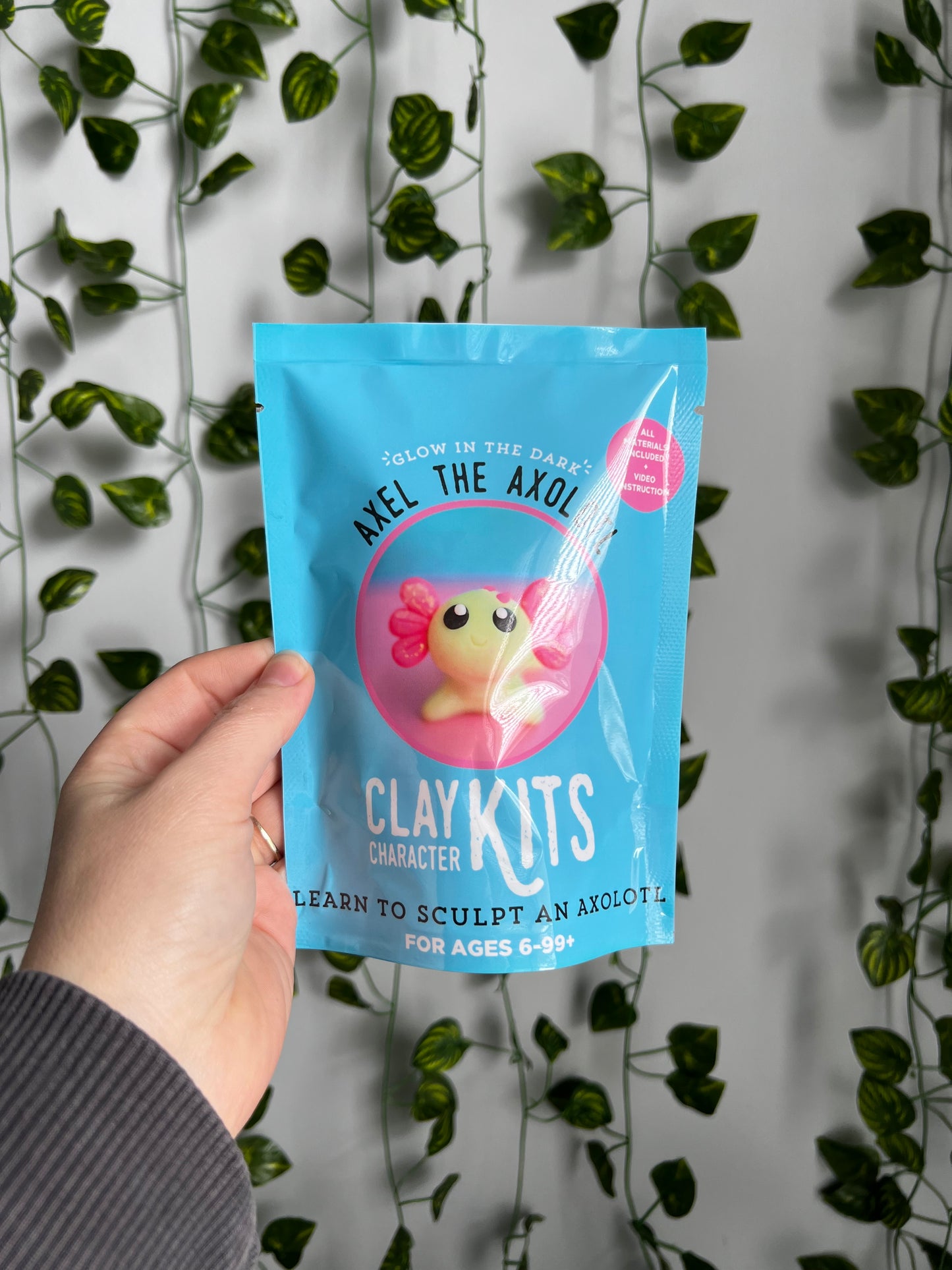 DIY Polymer Clay Kit