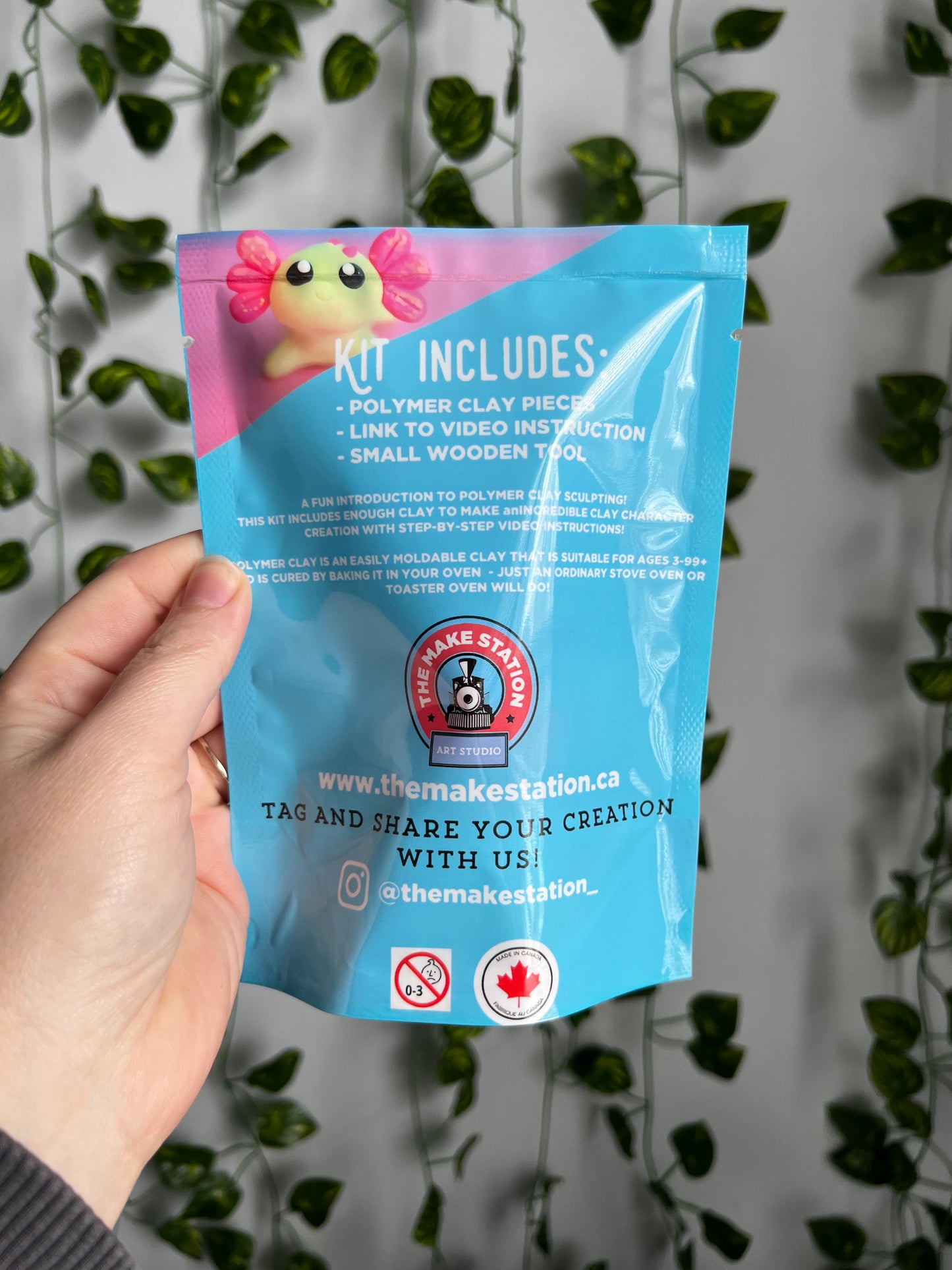 DIY Polymer Clay Kit
