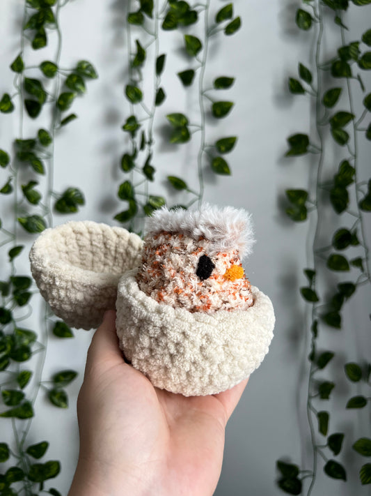 Hatching Chicks