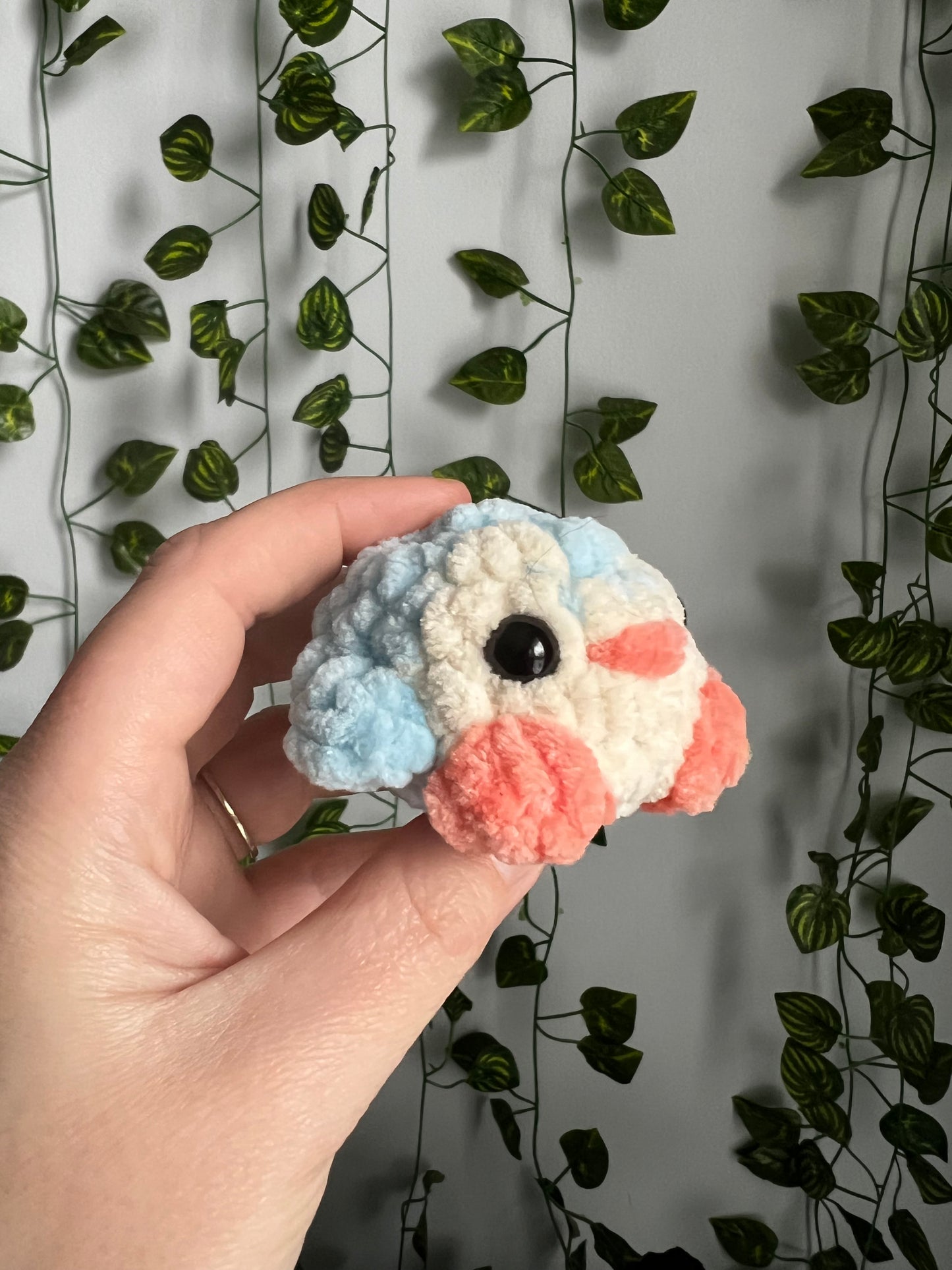 Mini Pocket Pets