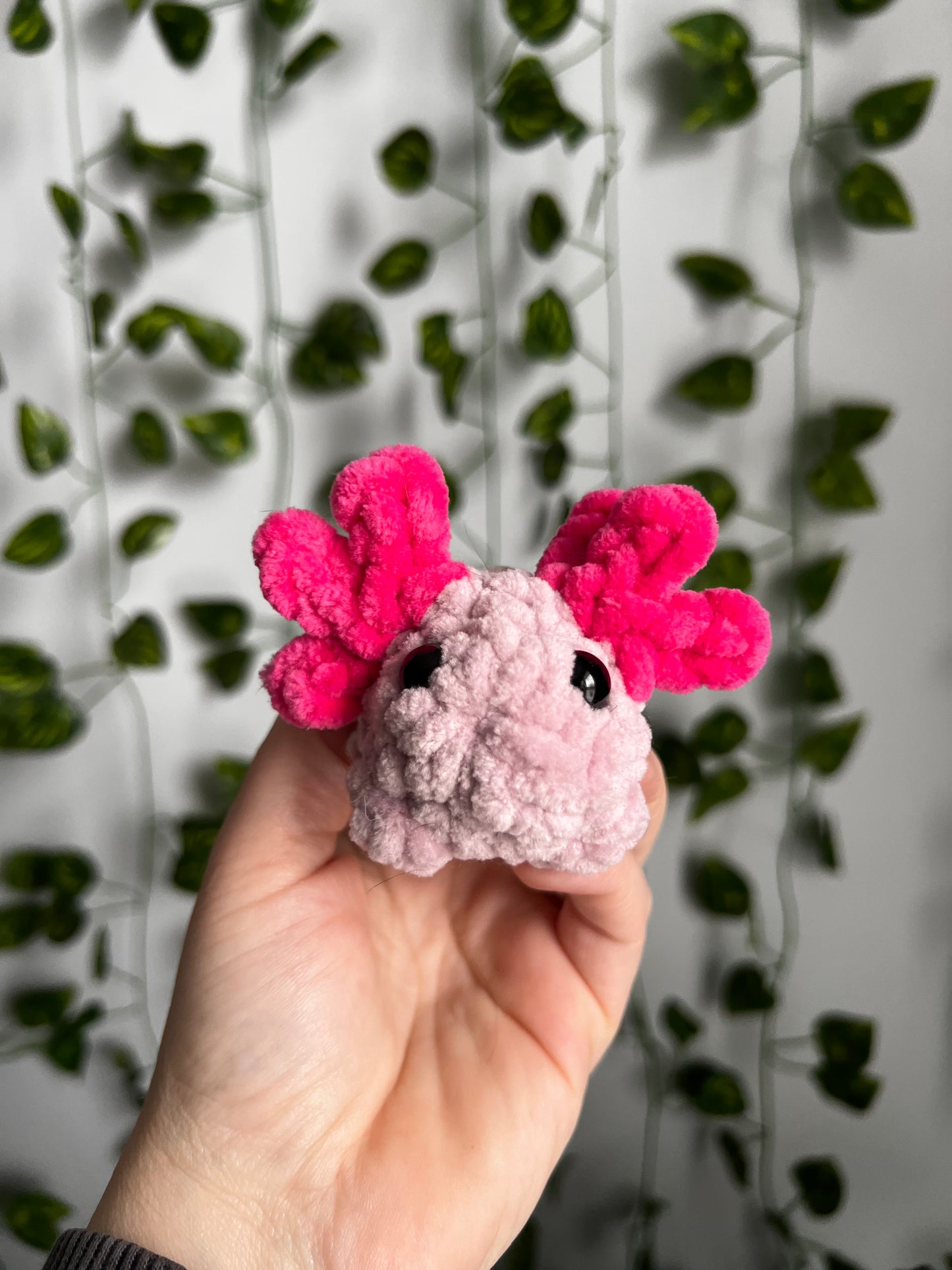 Mini Pocket Pets