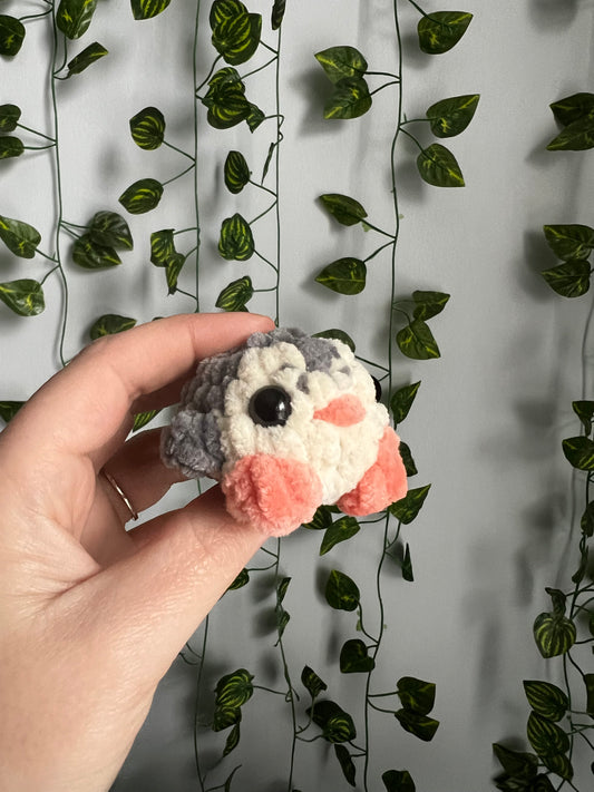 Mini Pocket Pets