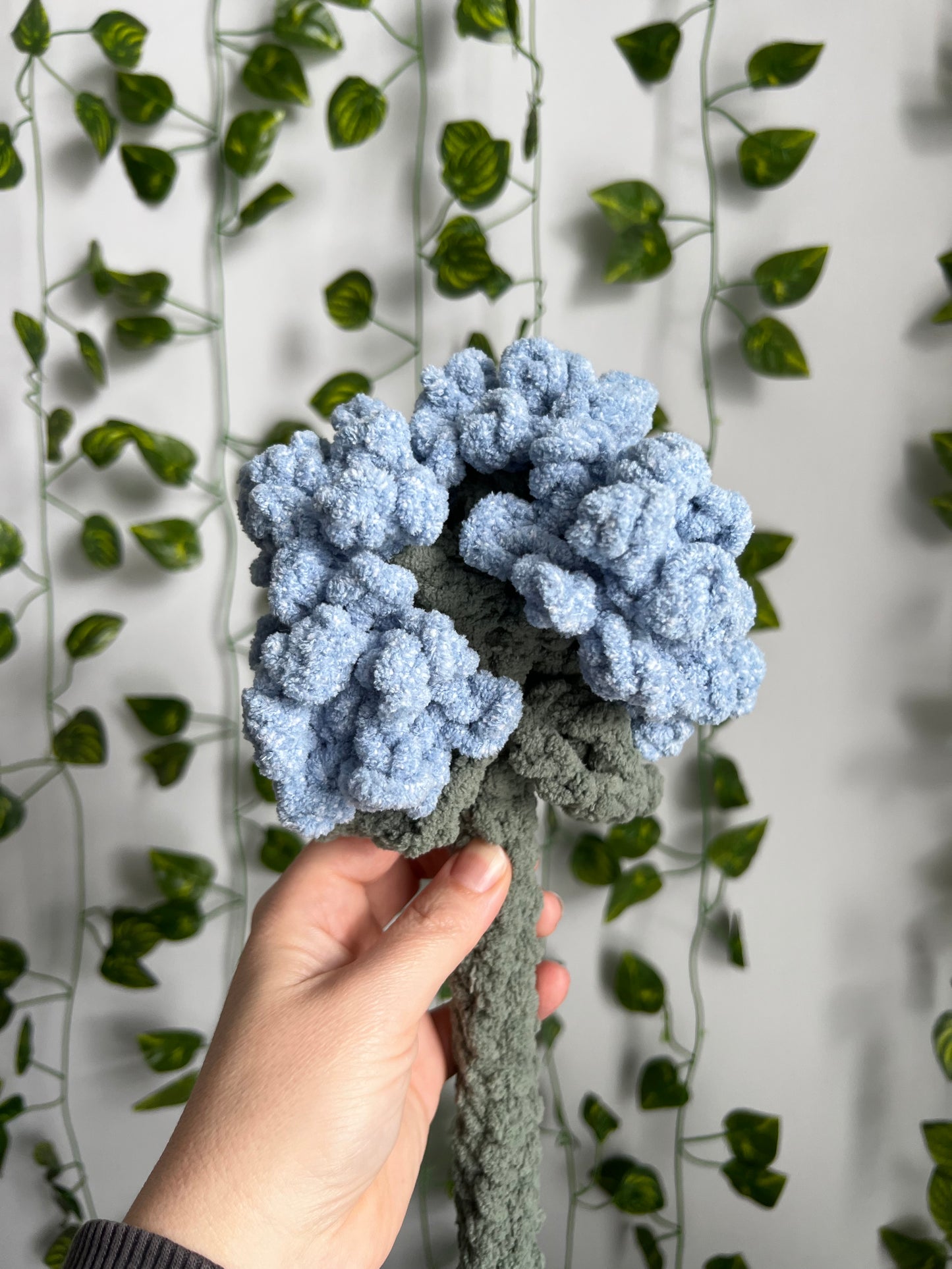 Heirloom Hydrangea