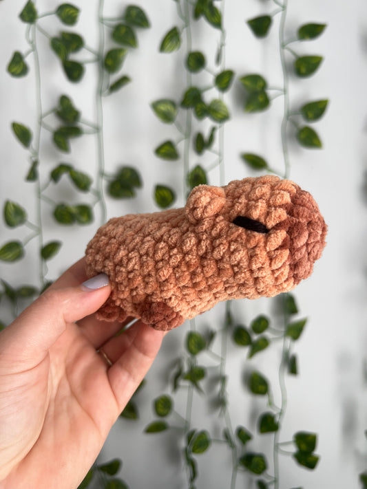 Capybara