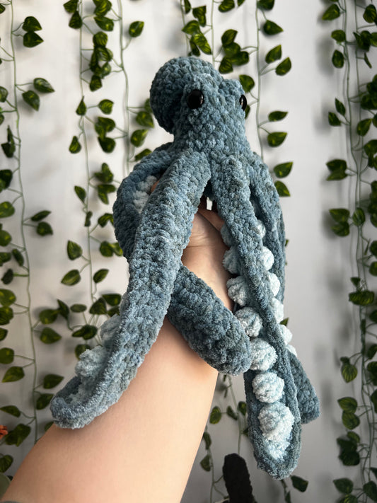 Anchor Octopus