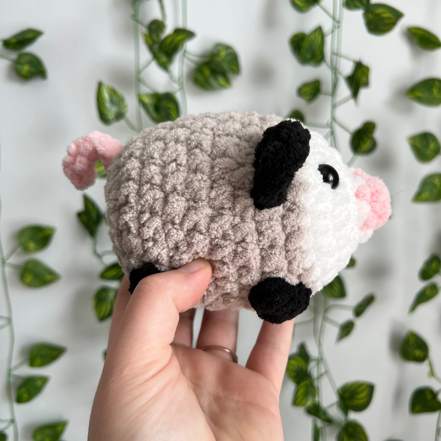 Small Opossum