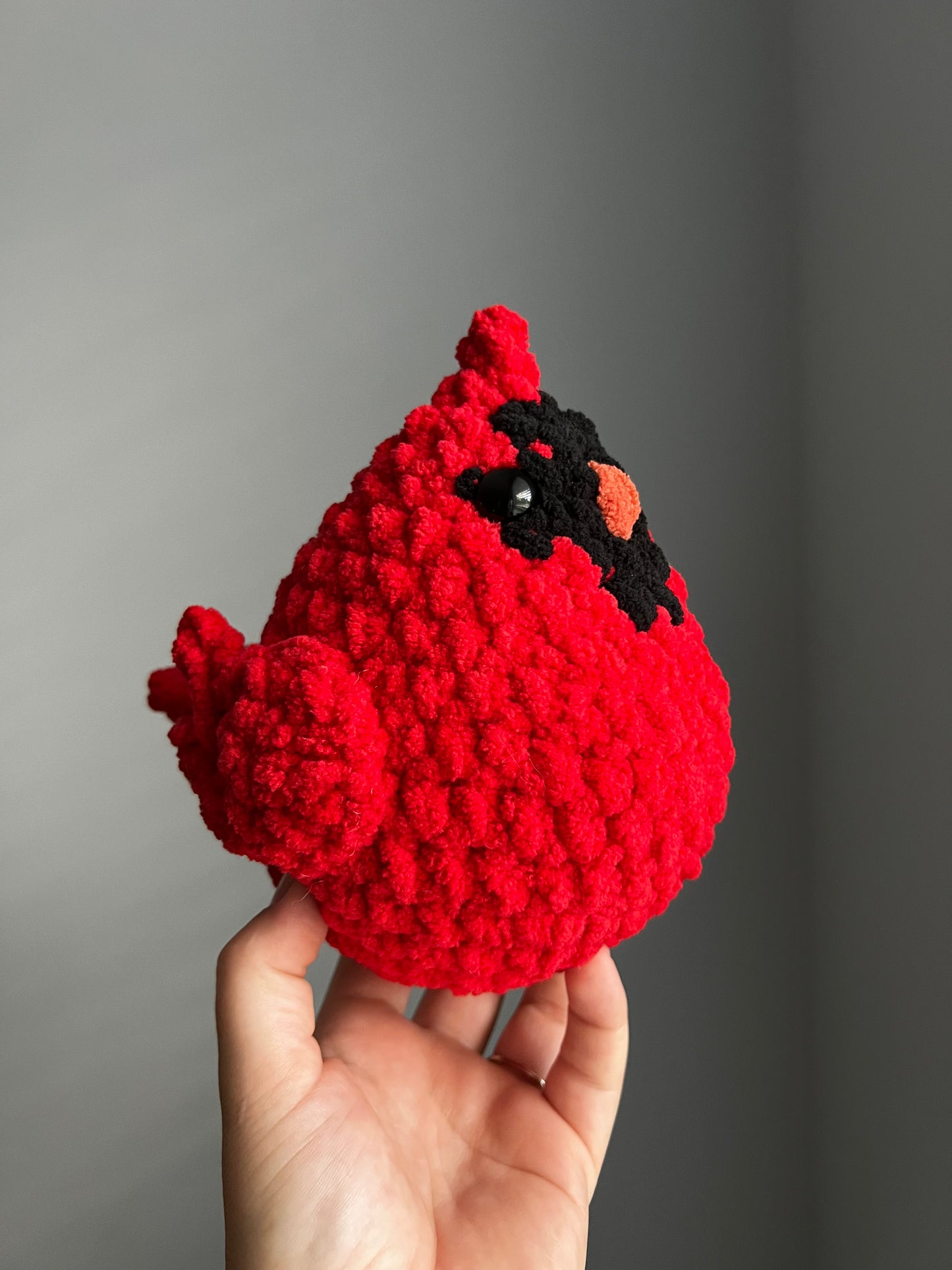 Large Cardinal