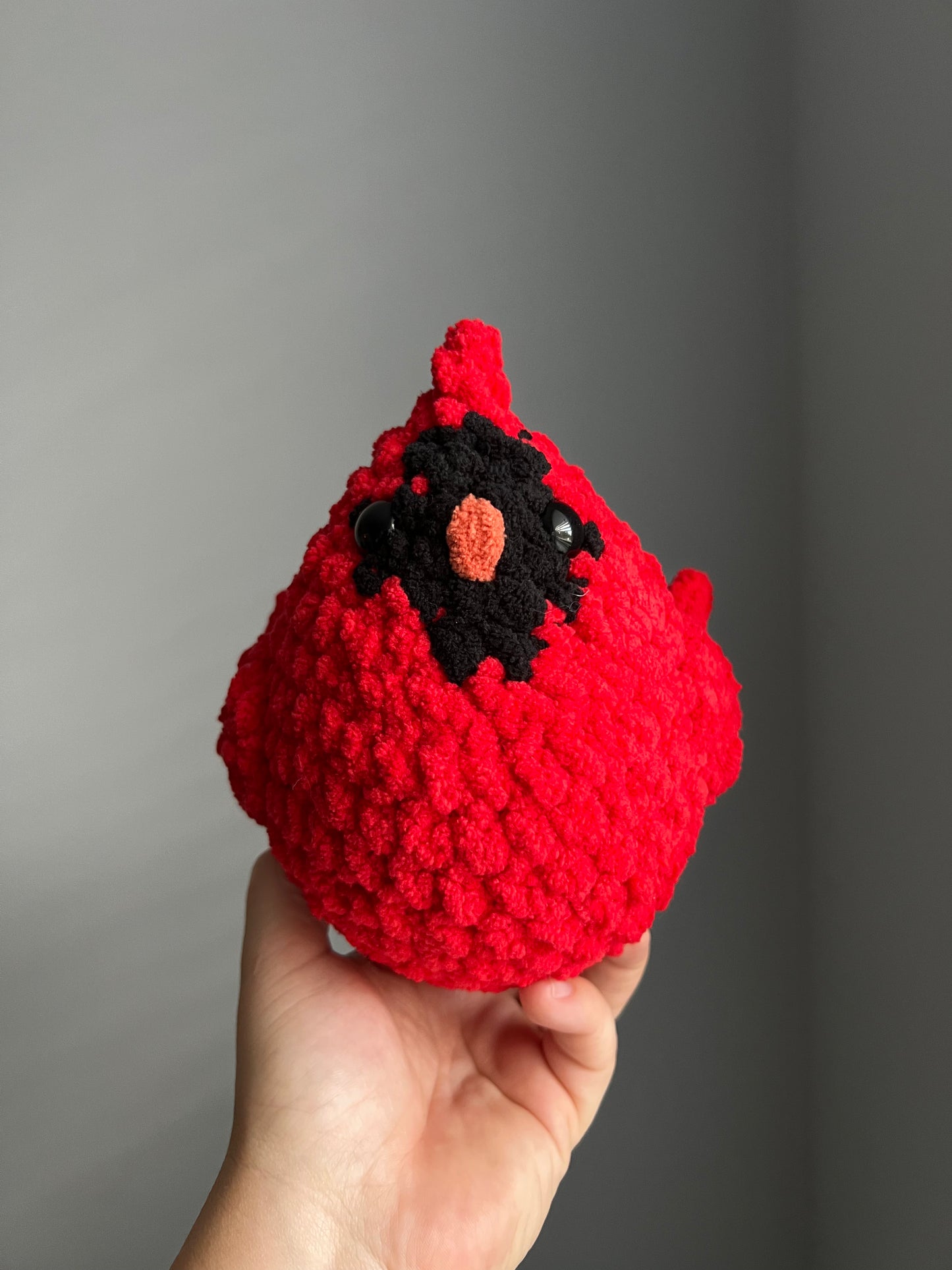 Large Cardinal
