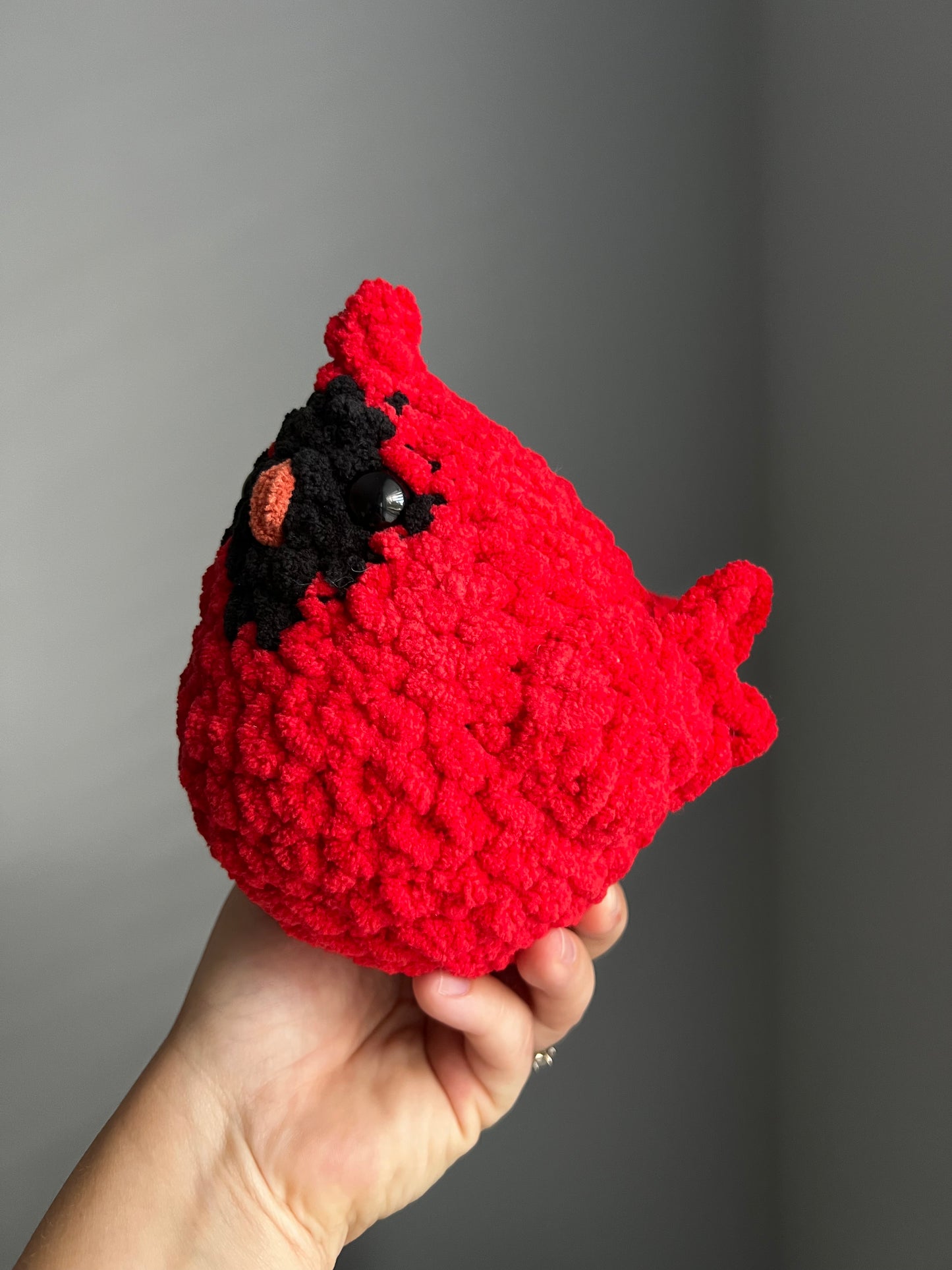 Large Cardinal