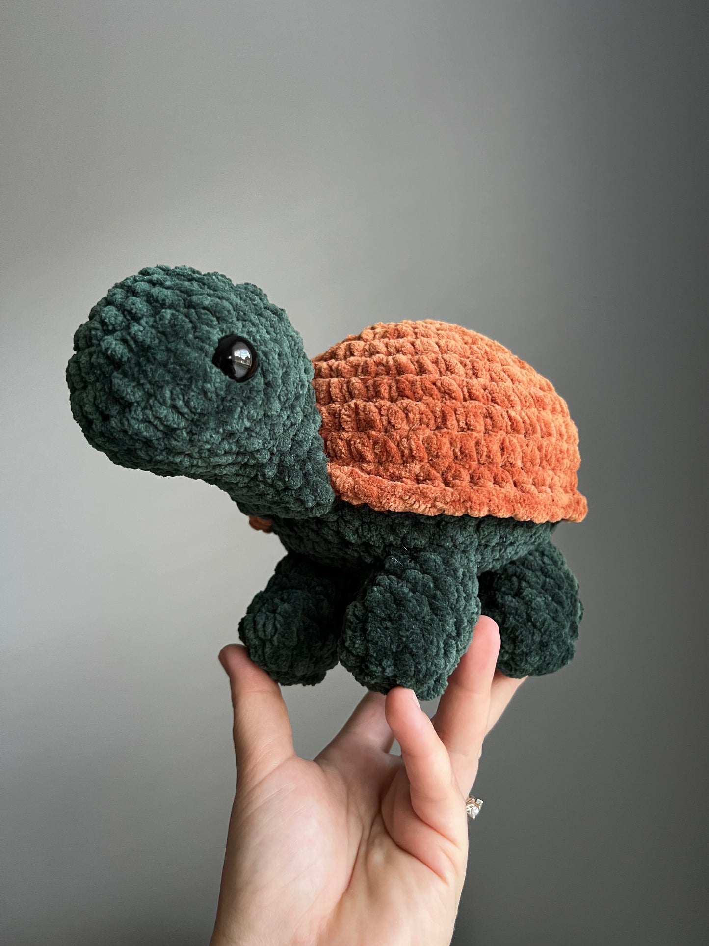 Land Turtle