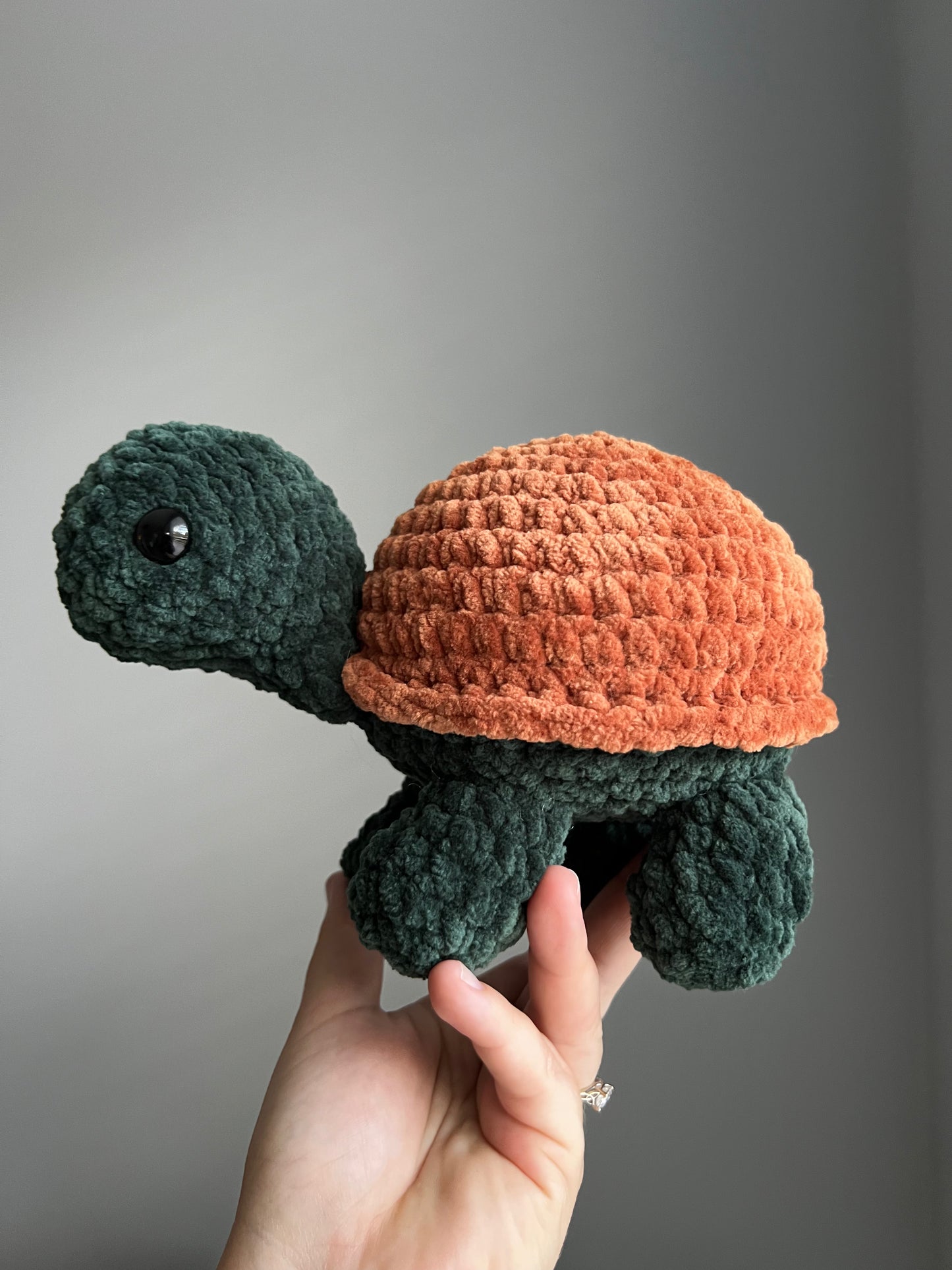 Land Turtle