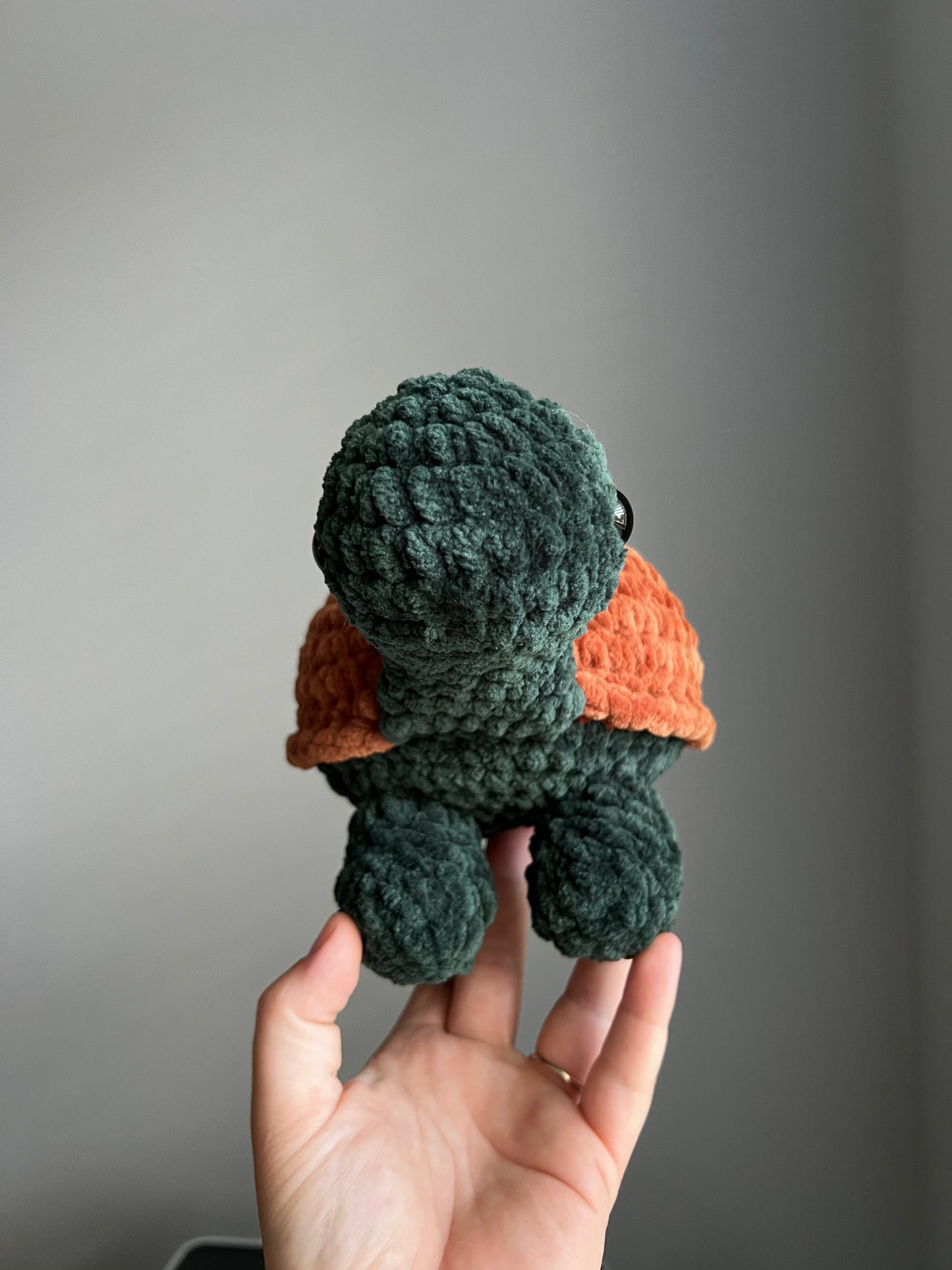 Land Turtle