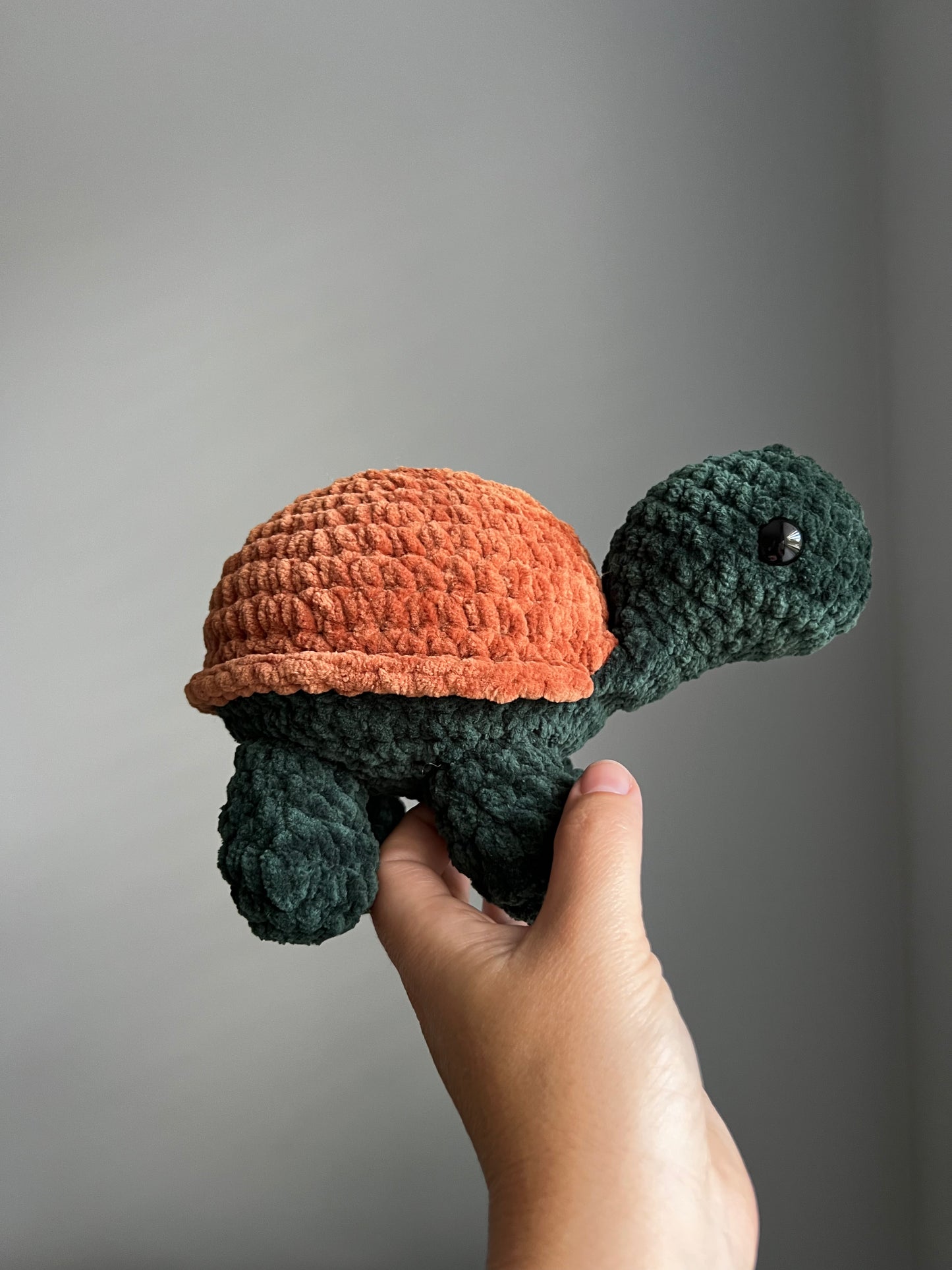 Land Turtle